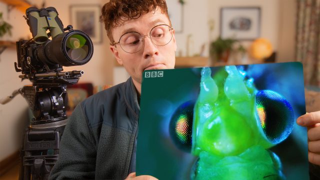 How Jack Richardson filmed a BBC Springwatch sequence from his one-bedroom apartment